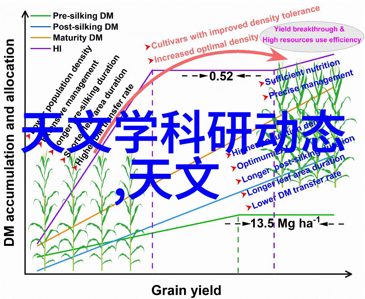 镜中花月下影探索摄影中的美学之美