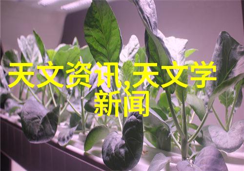 水质检测深入了解如何确保饮用水安全