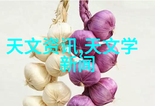 反应釜之谜固体投料机的终极秘密