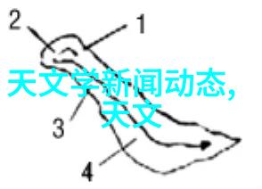 如何参与并贡献到那些专注于特定主题如野生动物风景等领域的小组内