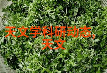 小型污水处理一体化设备环保节能解决方案