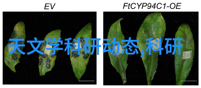 建筑奇迹-砂浆王铸就城市基石的无形英雄