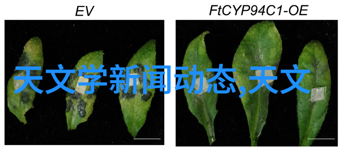 沙发背景墙大师7个秘籍家装简约效果图让你一视同仁