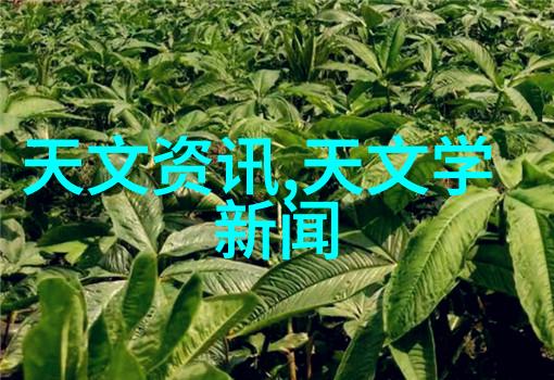 新时代下如何更合理地设置和征收居民小区物业管理规则