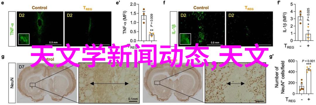 装修房子的风格设计图我要把这套小房子打造成一个温馨又时尚的小家