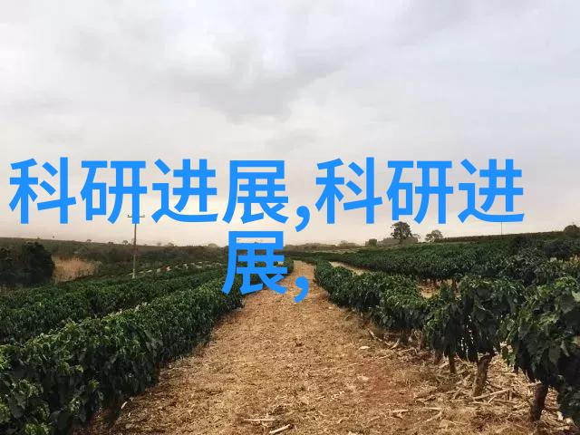 中国摄影传媒网我是如何在这里发现生活美学的