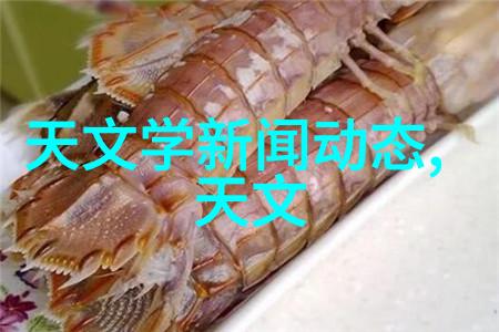 大理石装饰艺术古老的建筑材料与现代设计融合