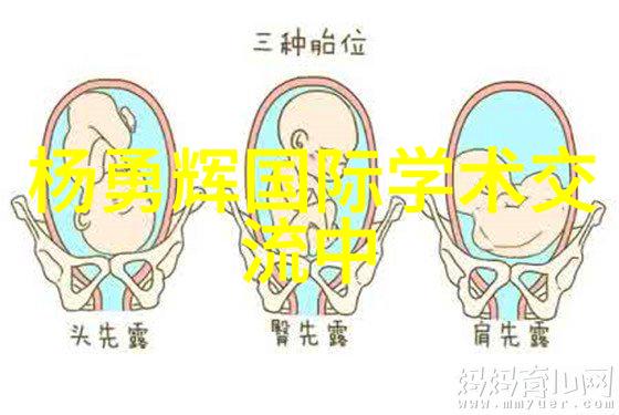 新疆图木舒克市TRX-24土壤干燥箱确保物品安全无交叉污染专业土壤干燥箱厂家提供同时配备tuttna