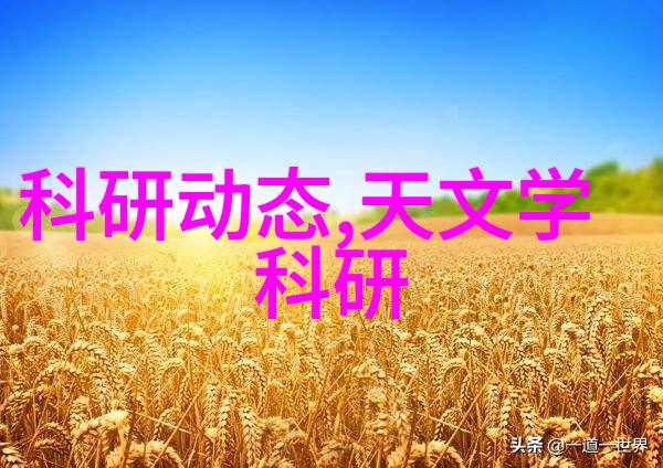 佳能D60继承传统的数字相机之冠