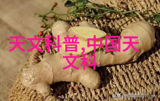 在实验室安全的新纪元生物安全柜的重要性与应用