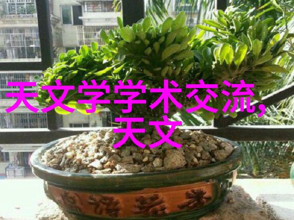 五彩缤纷探索茄子香草草莓丝瓜与榴莲的文化交响曲