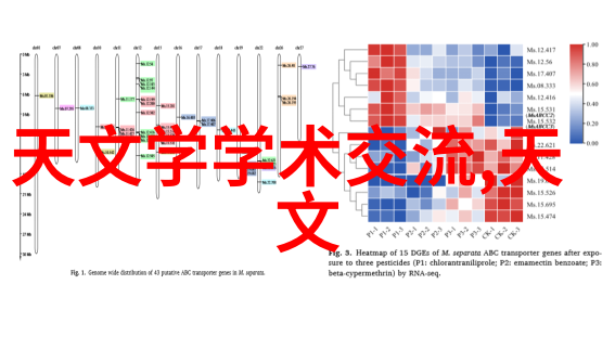 厨房技巧-微波炉快速烹饪食谱集锦