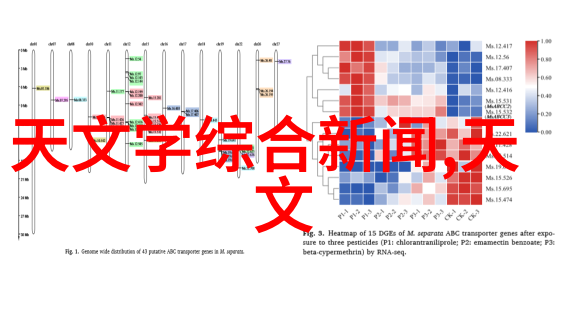 电视显示异常怎么办一站式解析