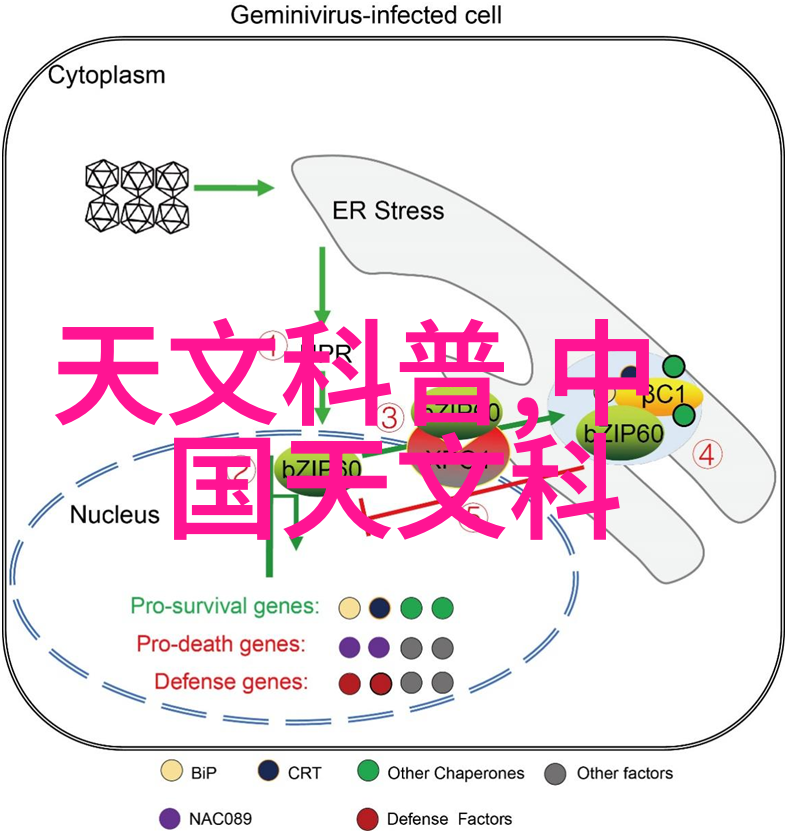 200元的冰箱-节俭生活中的小巧冷藏神器