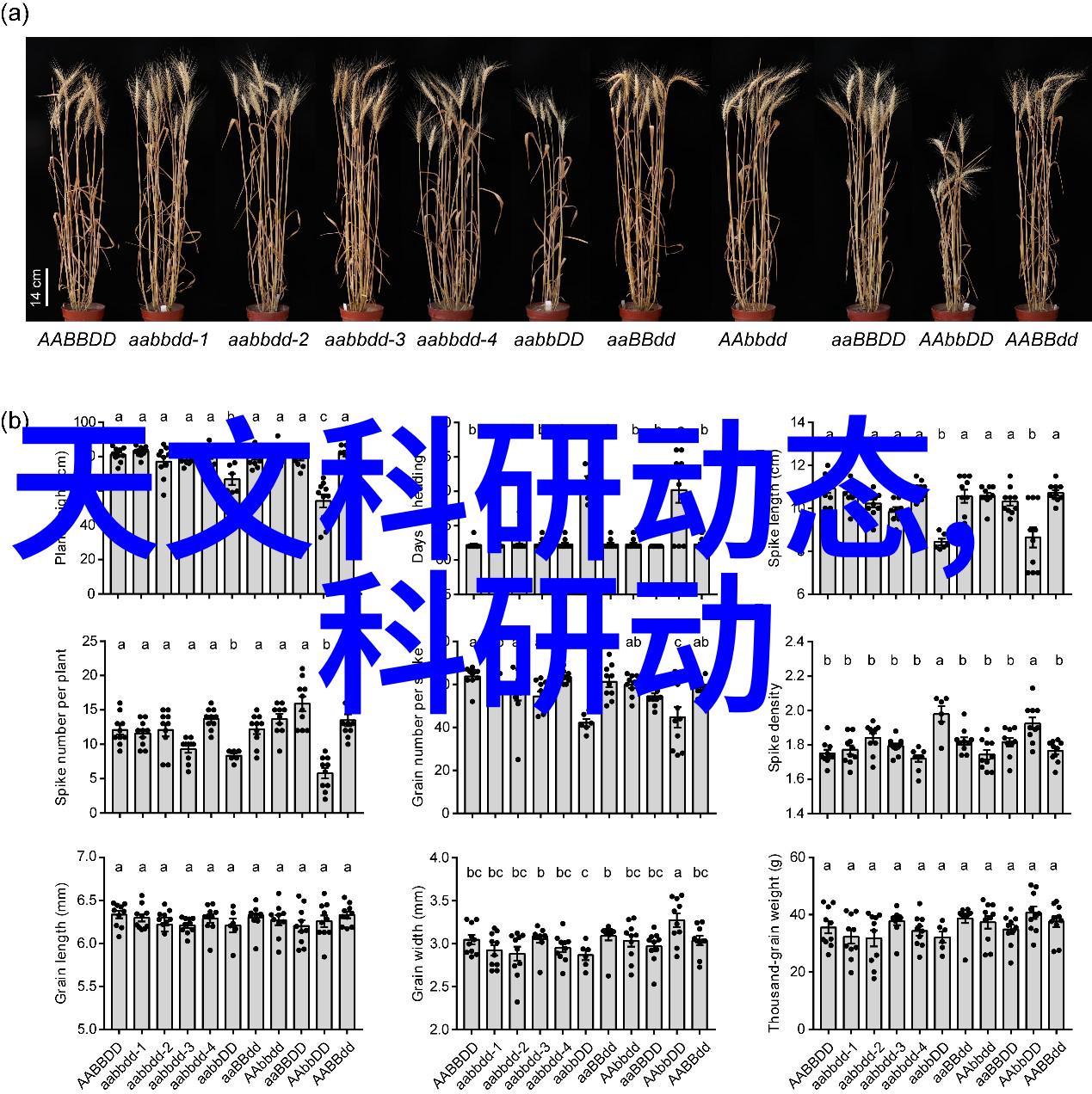 水电合同范本简化版背后的风险与机遇有哪些