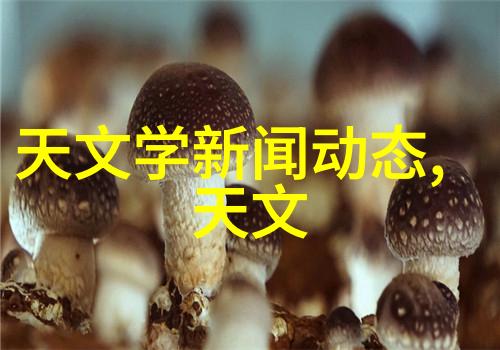 高效提取浓缩蒸发设备革命化工业过程的新篇章