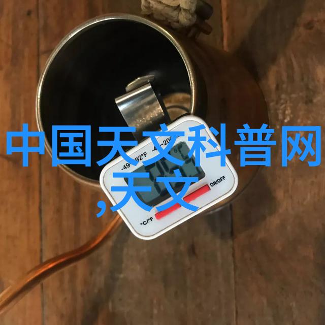 微波奇迹揭秘家用微波炉的科技与安全使用技巧