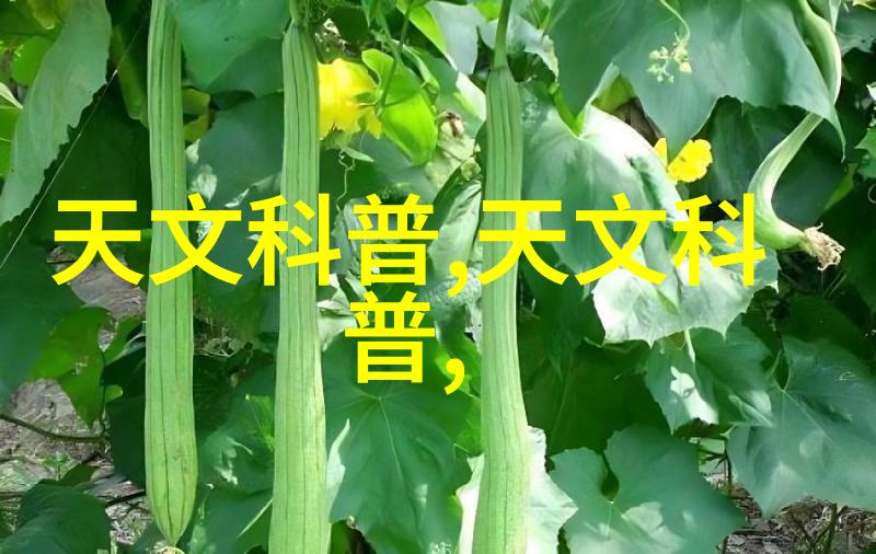 矢车菊代表纯洁无瑕的花语探索