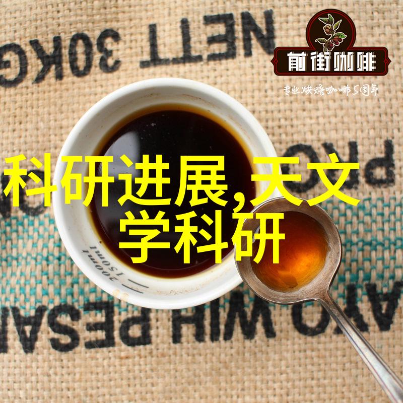 世界十大顶级摄影作品捕捉历史与艺术的瞬间