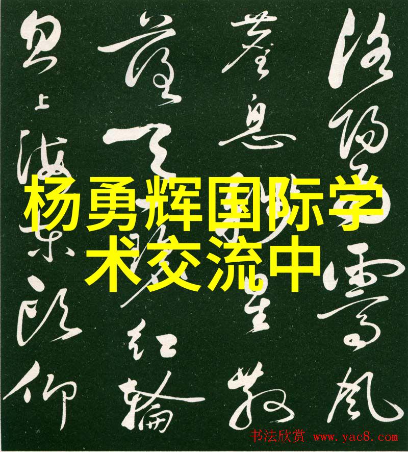 三瓣六瓣填料安装要求详解三瓣六瓣填充材料的正确使用方法