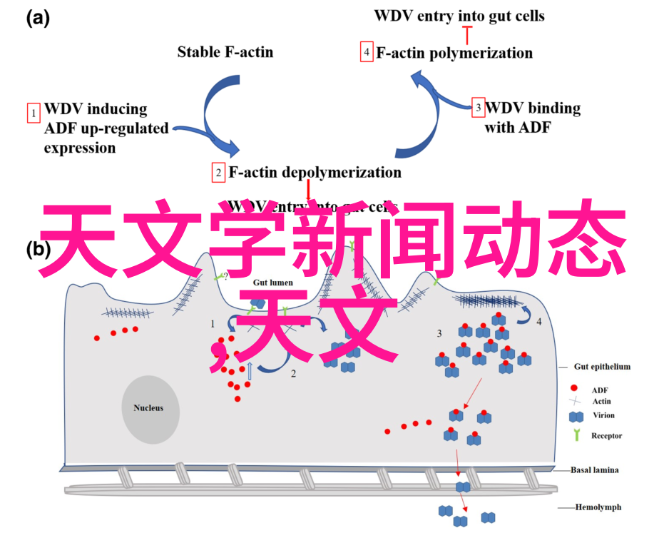 空调制冷原理-风冷水冷与气体膨胀揭秘空调制冷的奥秘