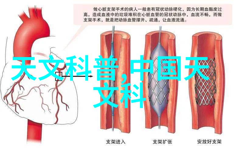 摄影技巧-捕捉光线之美如何有效使用反光板