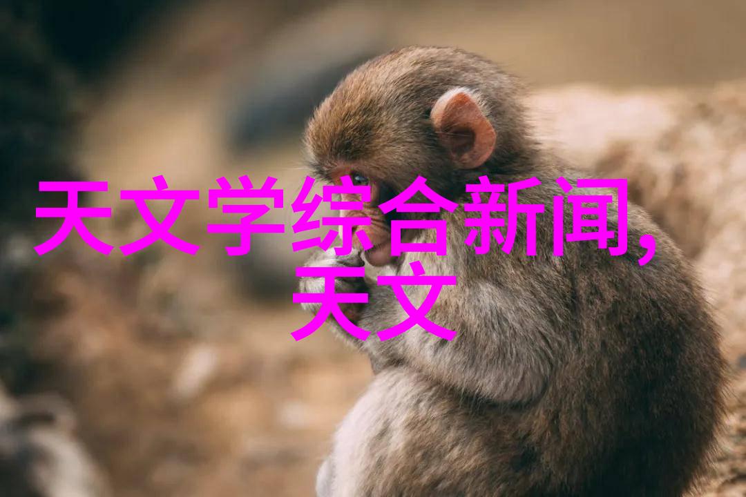 偷情主妇我妻子的秘密偷情的背后