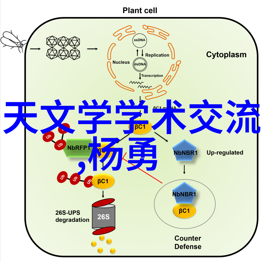 嵌入式开发工程师面试题-深度剖析从基础知识到实战技能的全方位考察