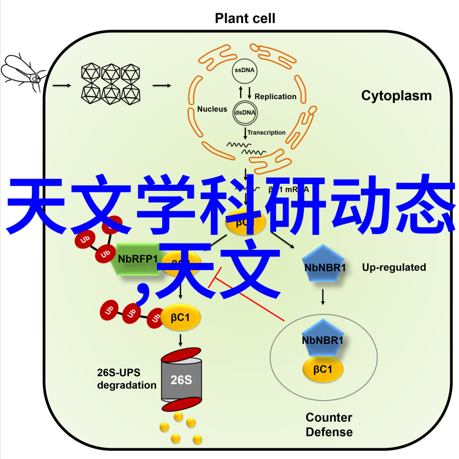 新技术新材料新时代探讨智能化改造提升古老城区的地下排污系统