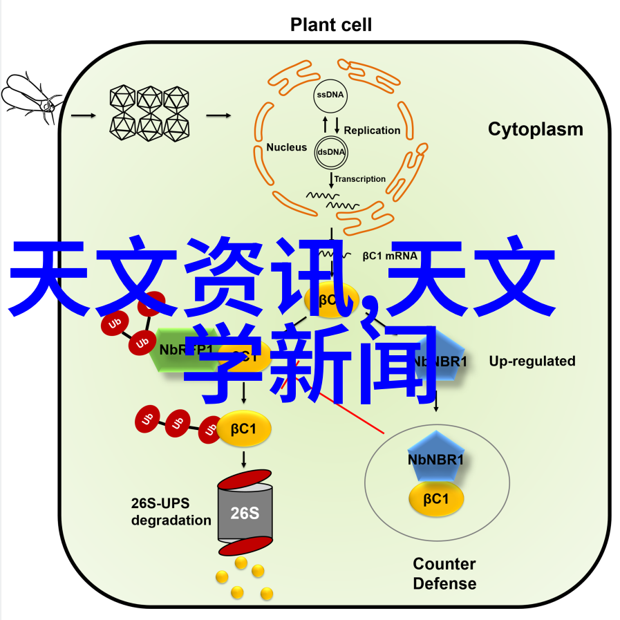 绿色清新环境净化设备的技术进步与生活品质提升