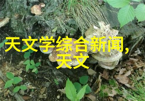 我用了一个空气净化器能否有效除甲醛