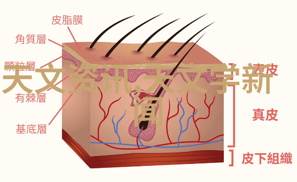 双锥大舞台旋转真空中干燥笑话