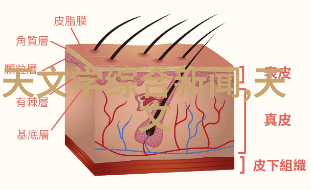 客厅和餐厅在一起怎么装修设计 - 和谐融合巧妙串联客厅与餐厅空间的装修艺术