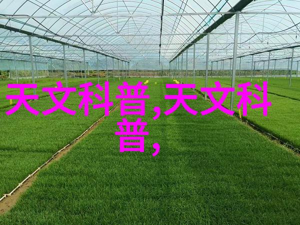 化学实验室的守护者反应器装置图的秘密与智慧