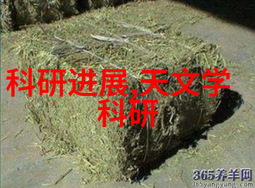 压缩机工作时产生烟雾或白色烟这是不是坏了吗