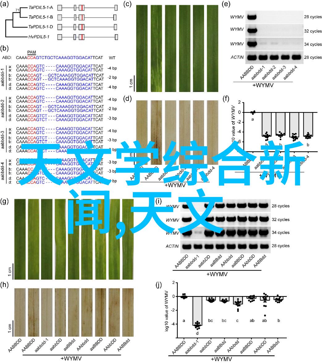 科技节创想不限未来可期创新驱动智慧生活