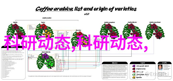 电影制作大师揭秘专业拍摄器材的全套清单