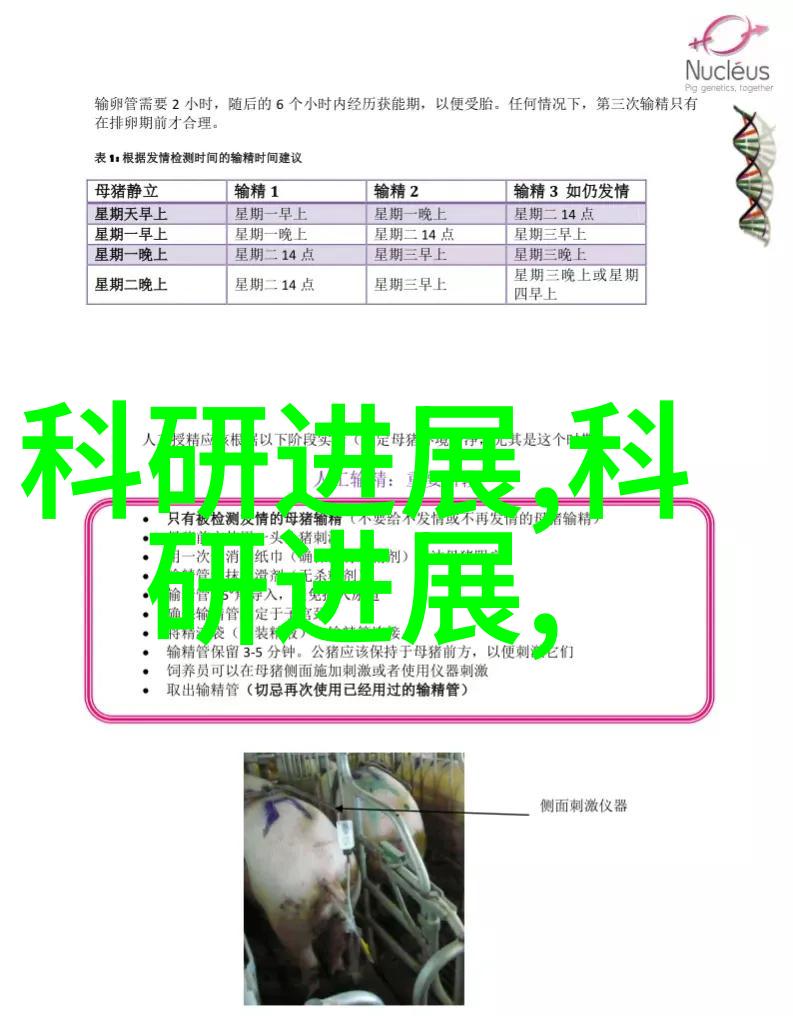 佳能1000D入门级单反相机还是专业摄影利器