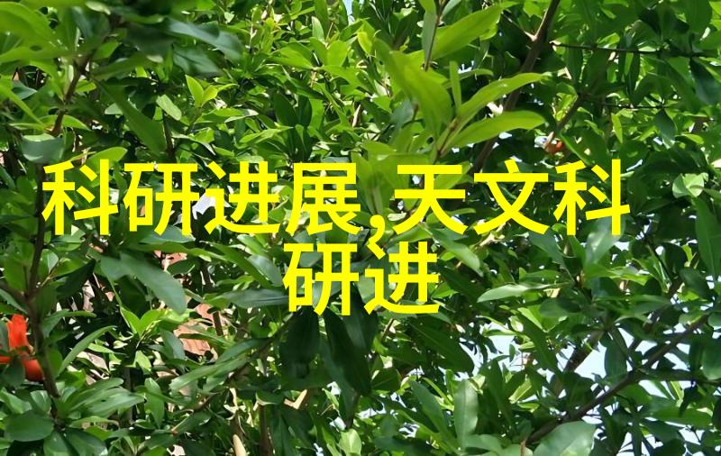 微波炉使用注意揭露隐患确保健康安全