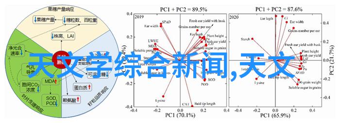 报告撰写格式范本高效编写报告的精髓