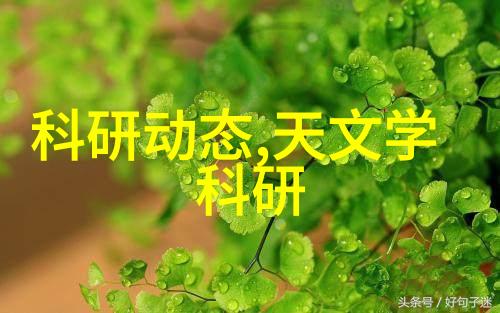 鸿风油烟净化一体机我家的这款清新大使真的太神奇了