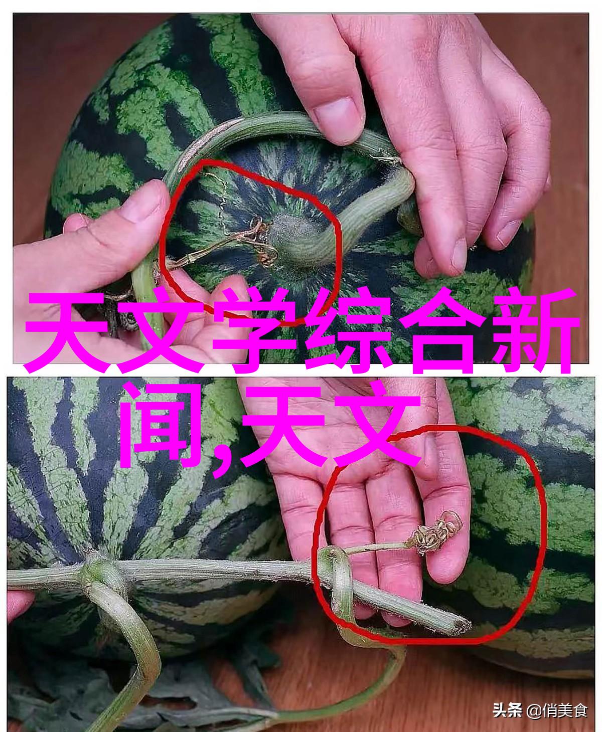 探索水源的清澈之谜水质检测揭秘