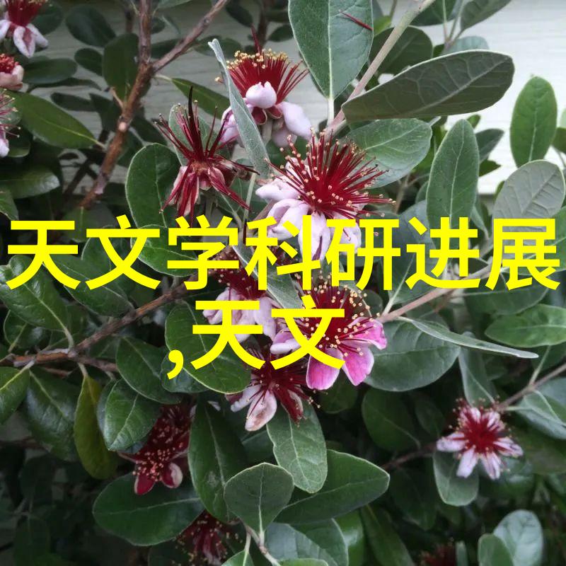 数学课代表的紧张面对数学课代表应对考试焦虑的真实场景