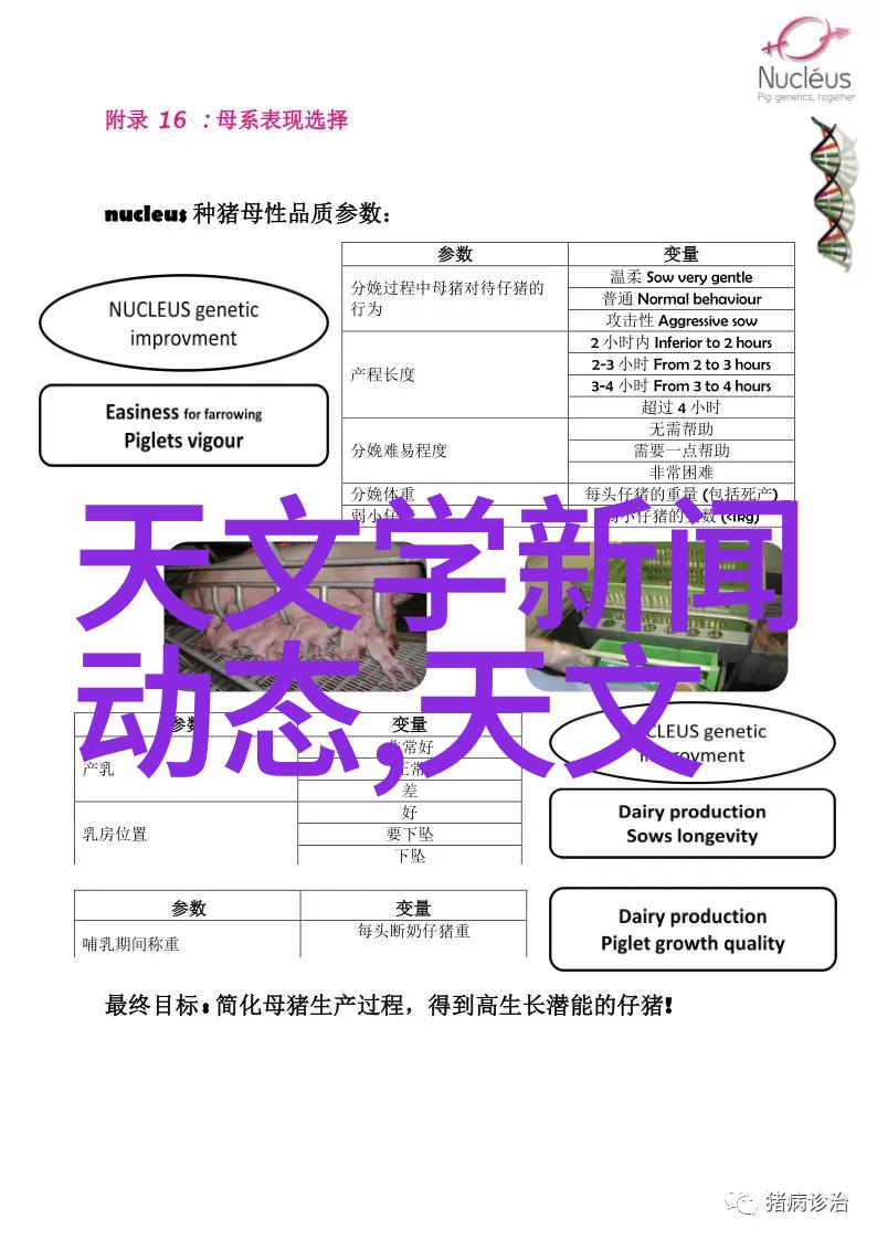 商业广告摄影我是如何用一张照片让产品闪耀成金的