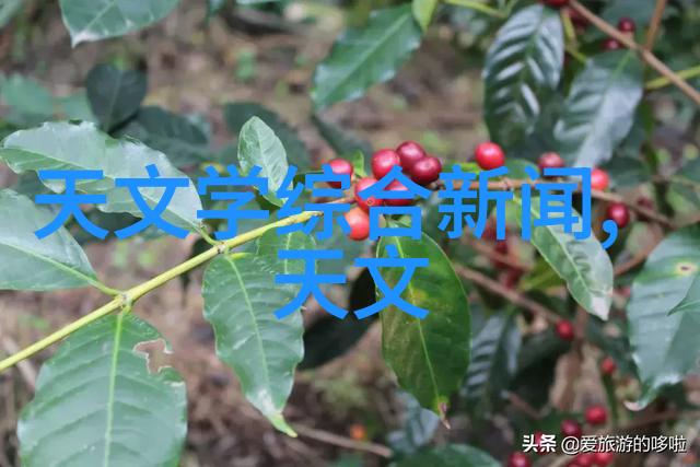 工业废水处理技术全解析从物理化学到生物方法的应用