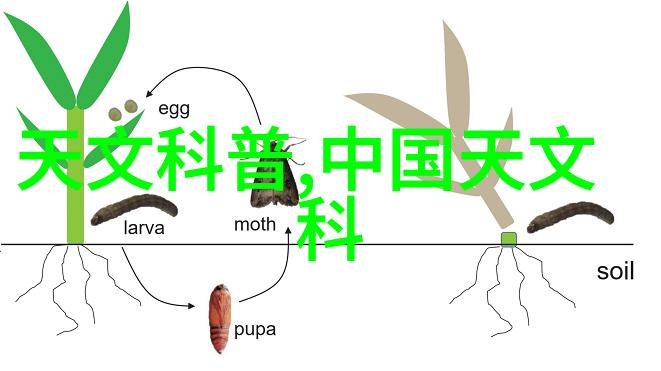 厨房简约装修效果图赏析