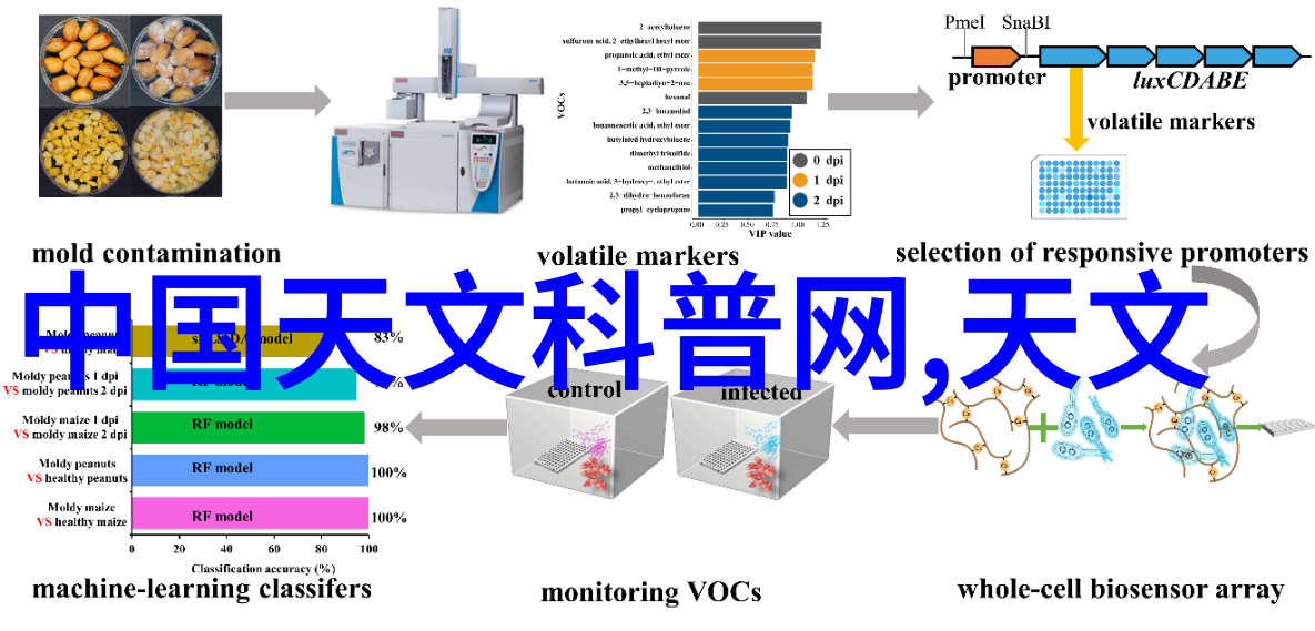 去客厅布局设计指南让你的家焕发新生